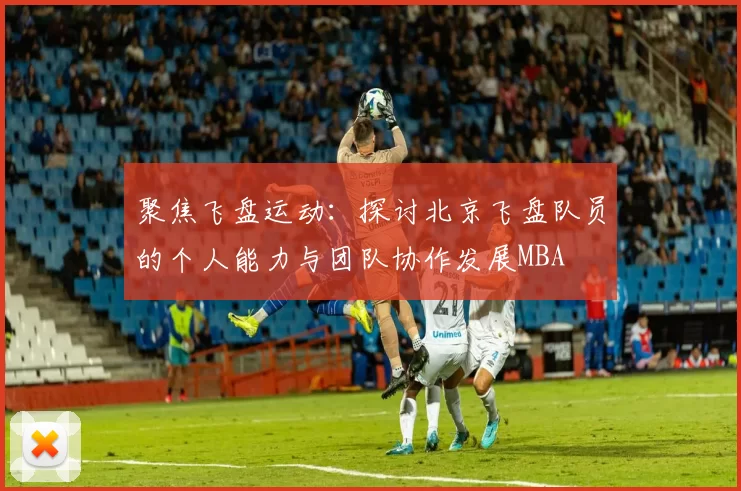 聚焦飞盘运动：探讨北京飞盘队员的个人能力与团队协作发展MBA
